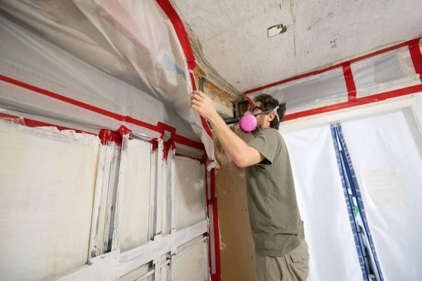 Professional Mold Removal in Craig Beach, OH